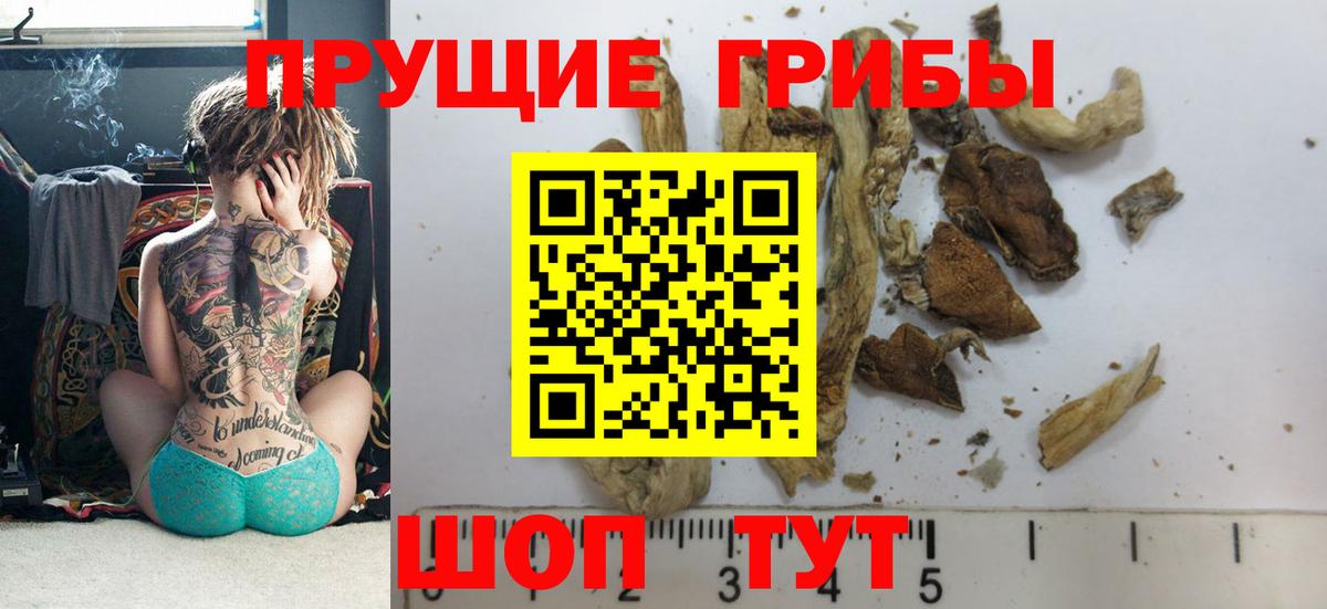 Галлюциногенные грибы GOLDEN TEACHER Нефтеюганск